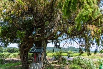 中山道の詳細画像