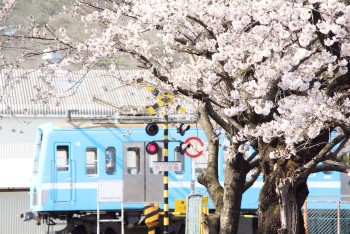 中山道の詳細画像