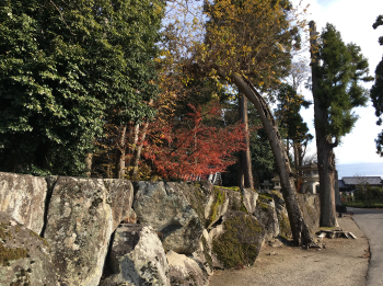 丸平の人形を愛でる雅の時