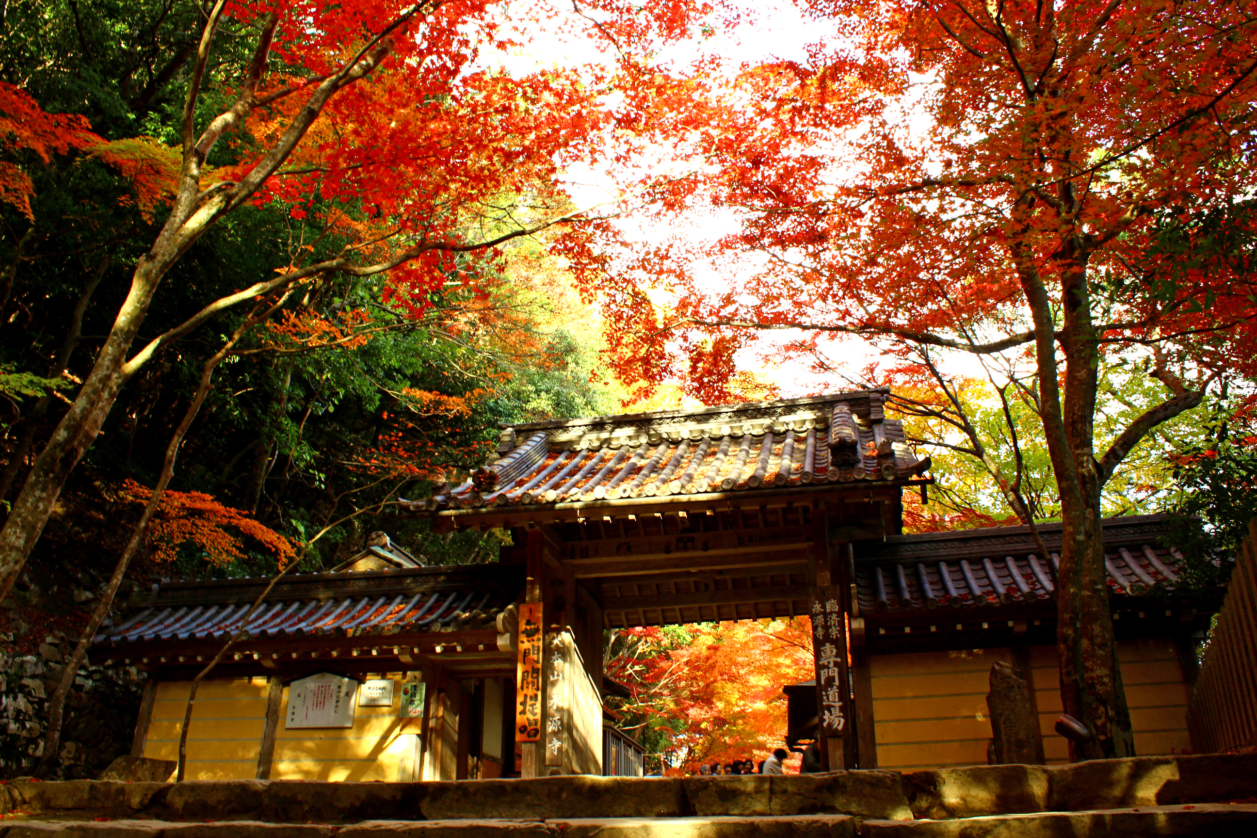 永源寺観光案内所は10月28日からオープンします