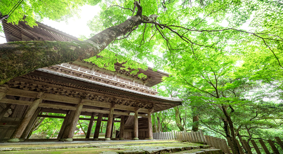 大本山永源寺