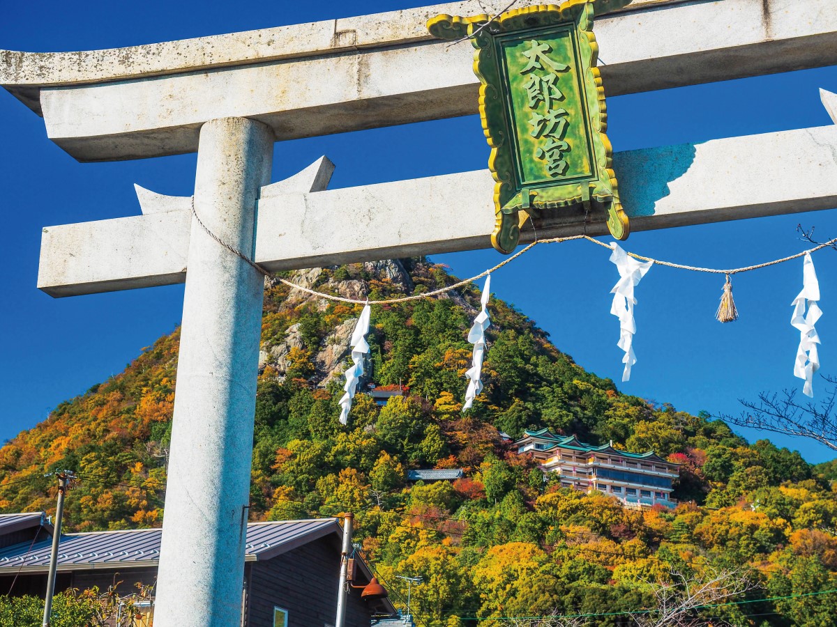 太郎坊宮（阿賀神社）