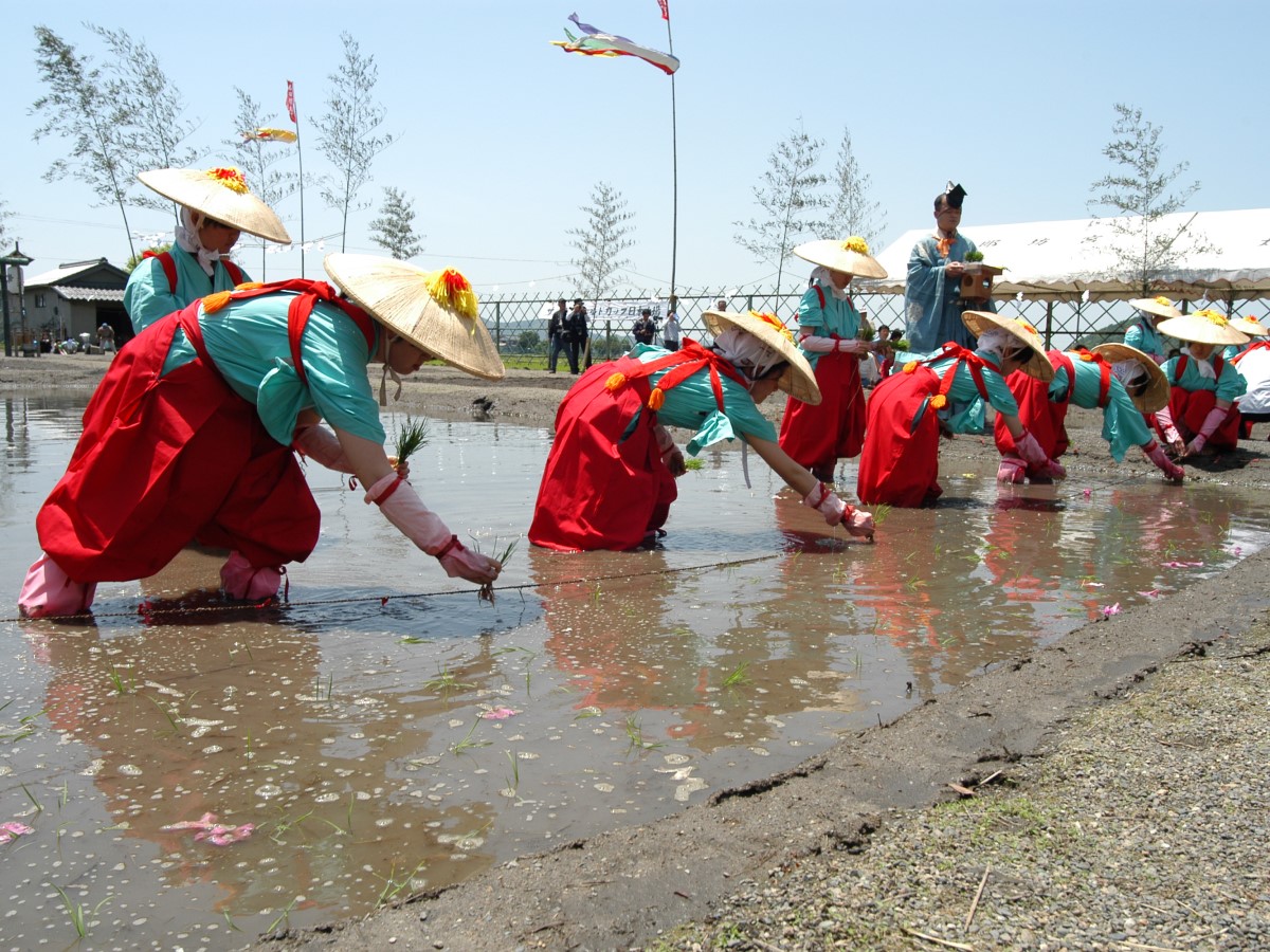 お田植大祭（太郎坊宮）