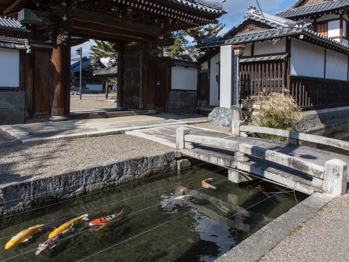 金堂の町並み、弘誓寺