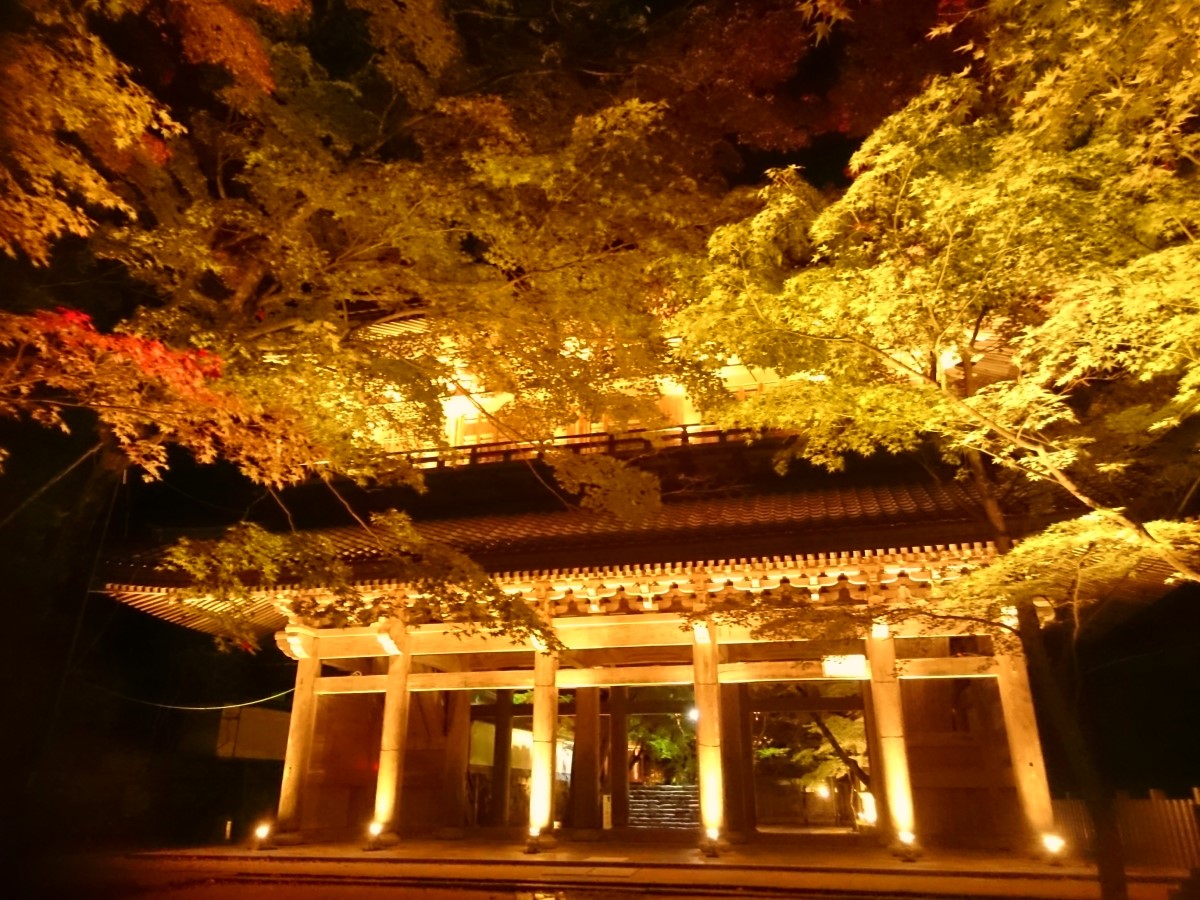 大本山永源寺 ライトアップ