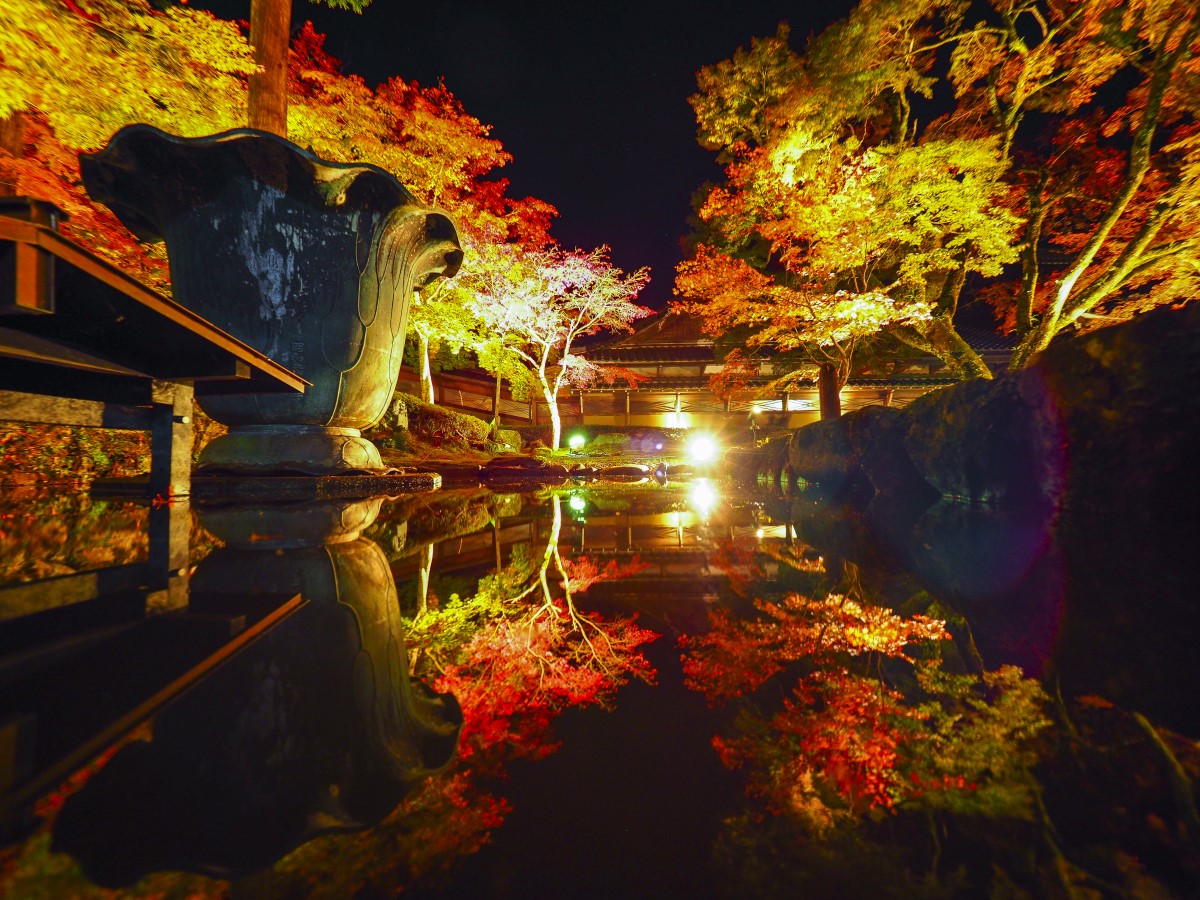 大本山永源寺 ライトアップ インフォメーション