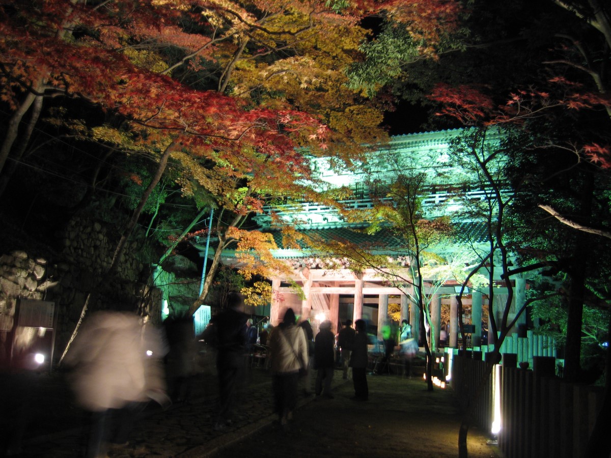 大本山永源寺 ライトアップ インフォメーション