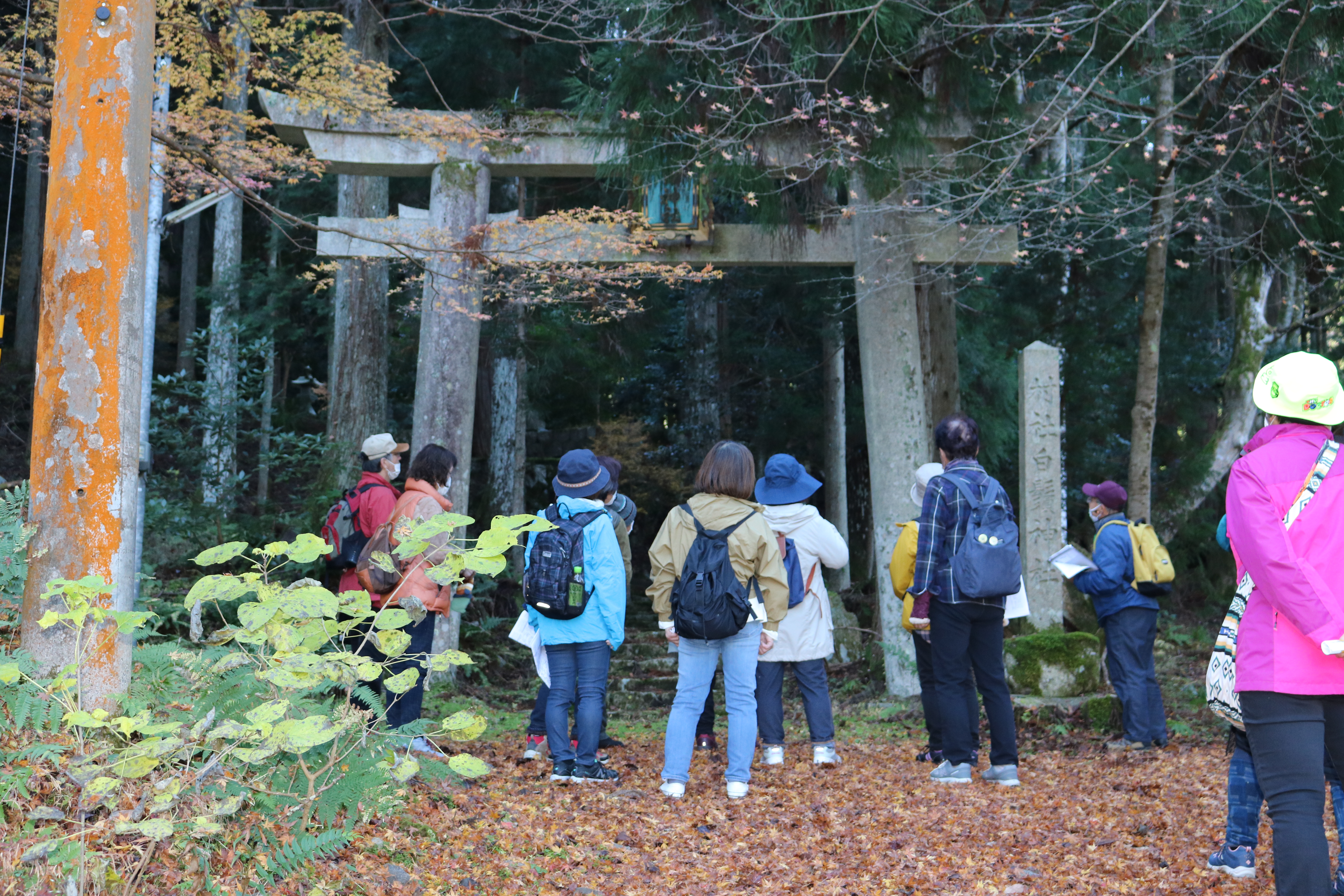 百済寺郷　大萩村11.25