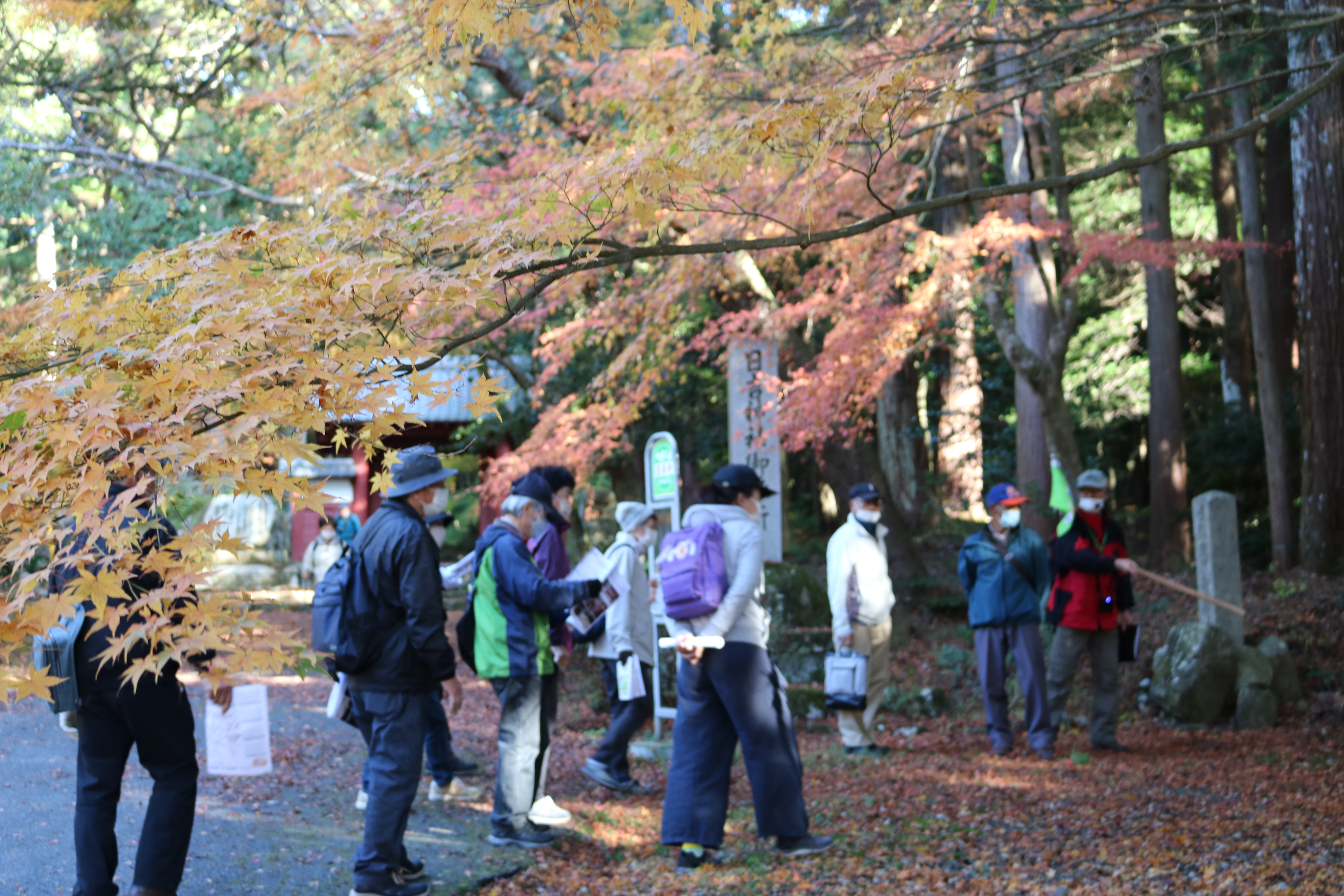 百済寺と歩んだ集落群百済寺郷　百済寺参詣の巻