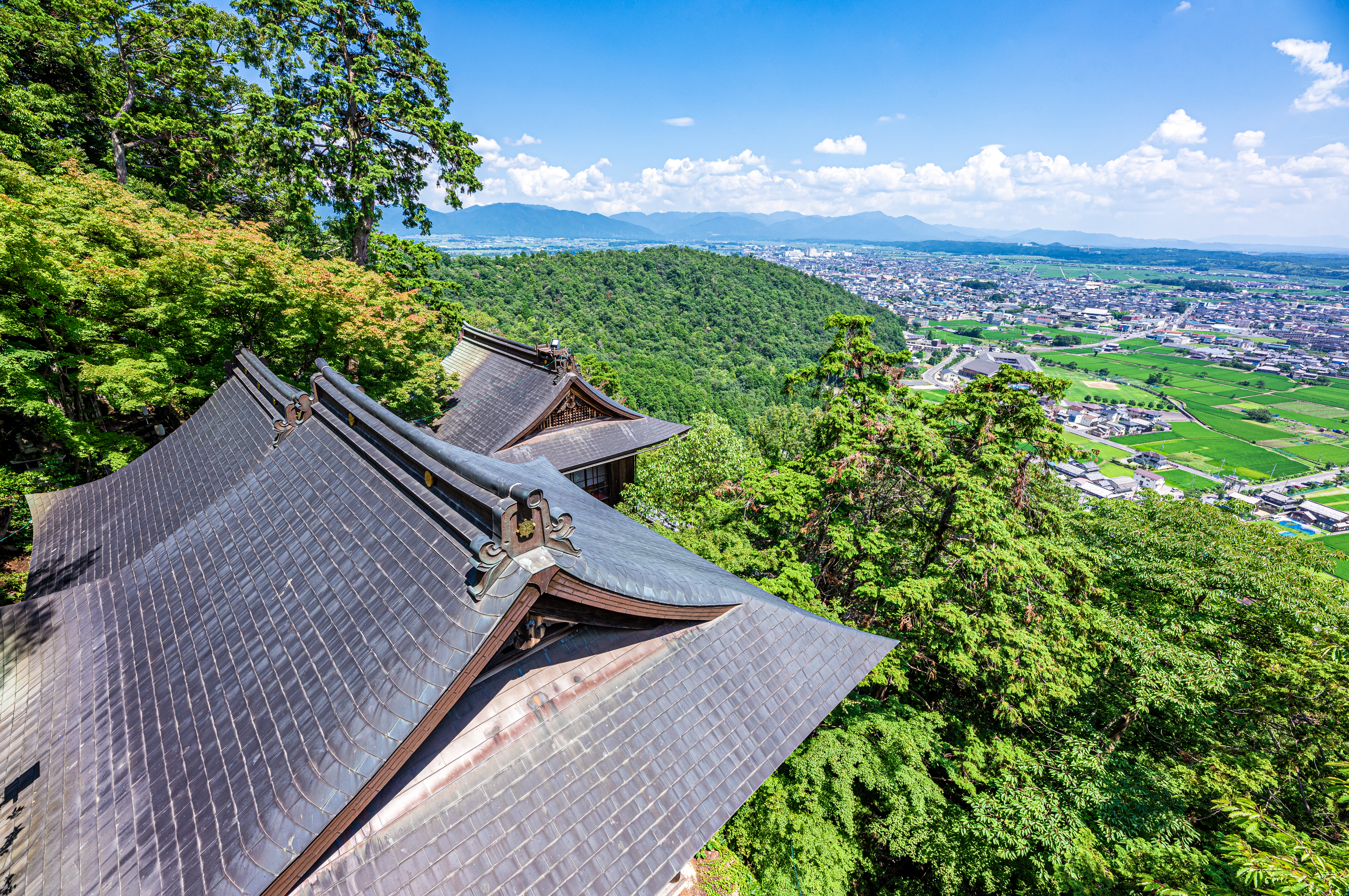 縁結び大学に情報掲載いただきました