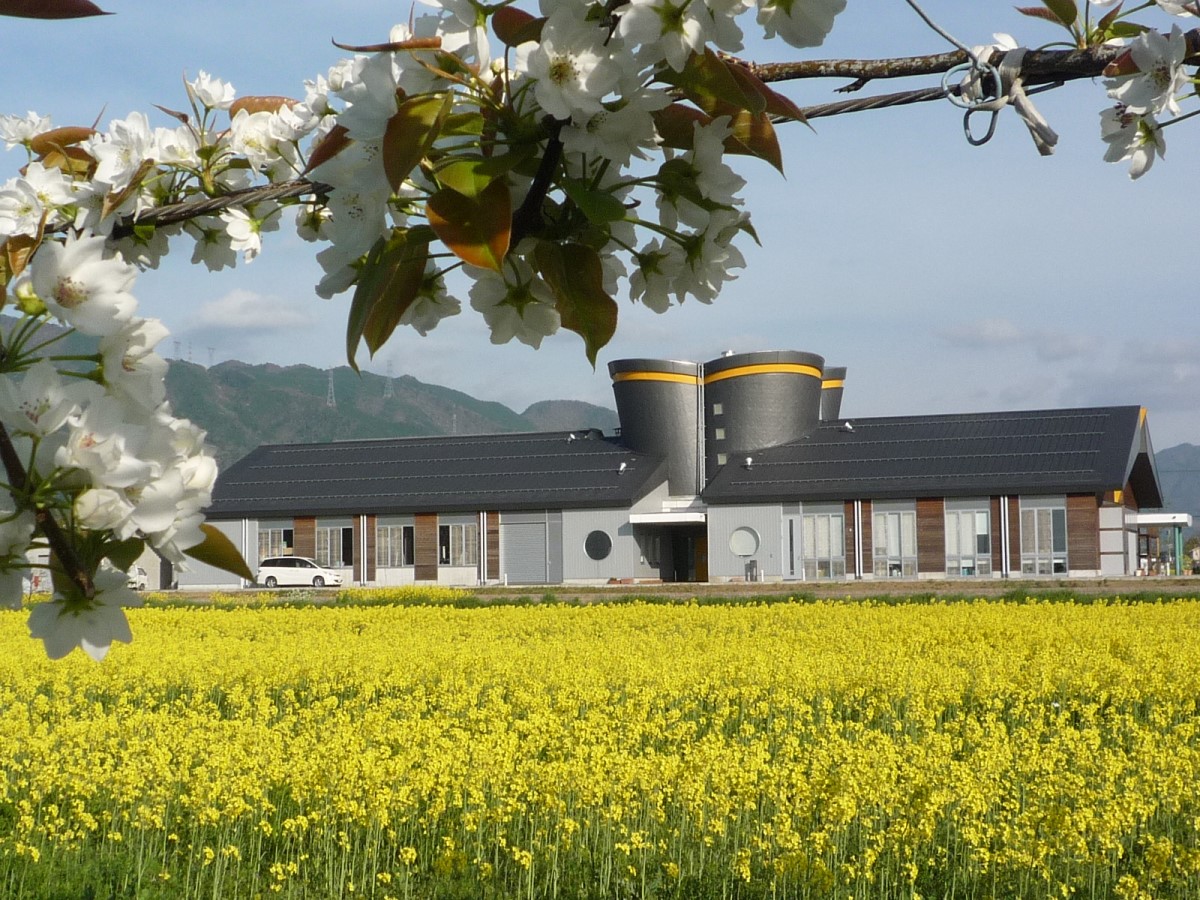 あいとうエコプラザ菜の花館