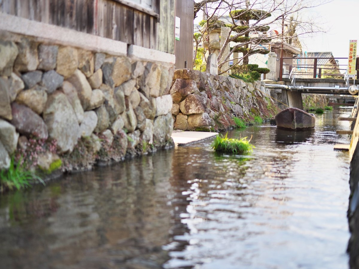 伊庭の水辺景観