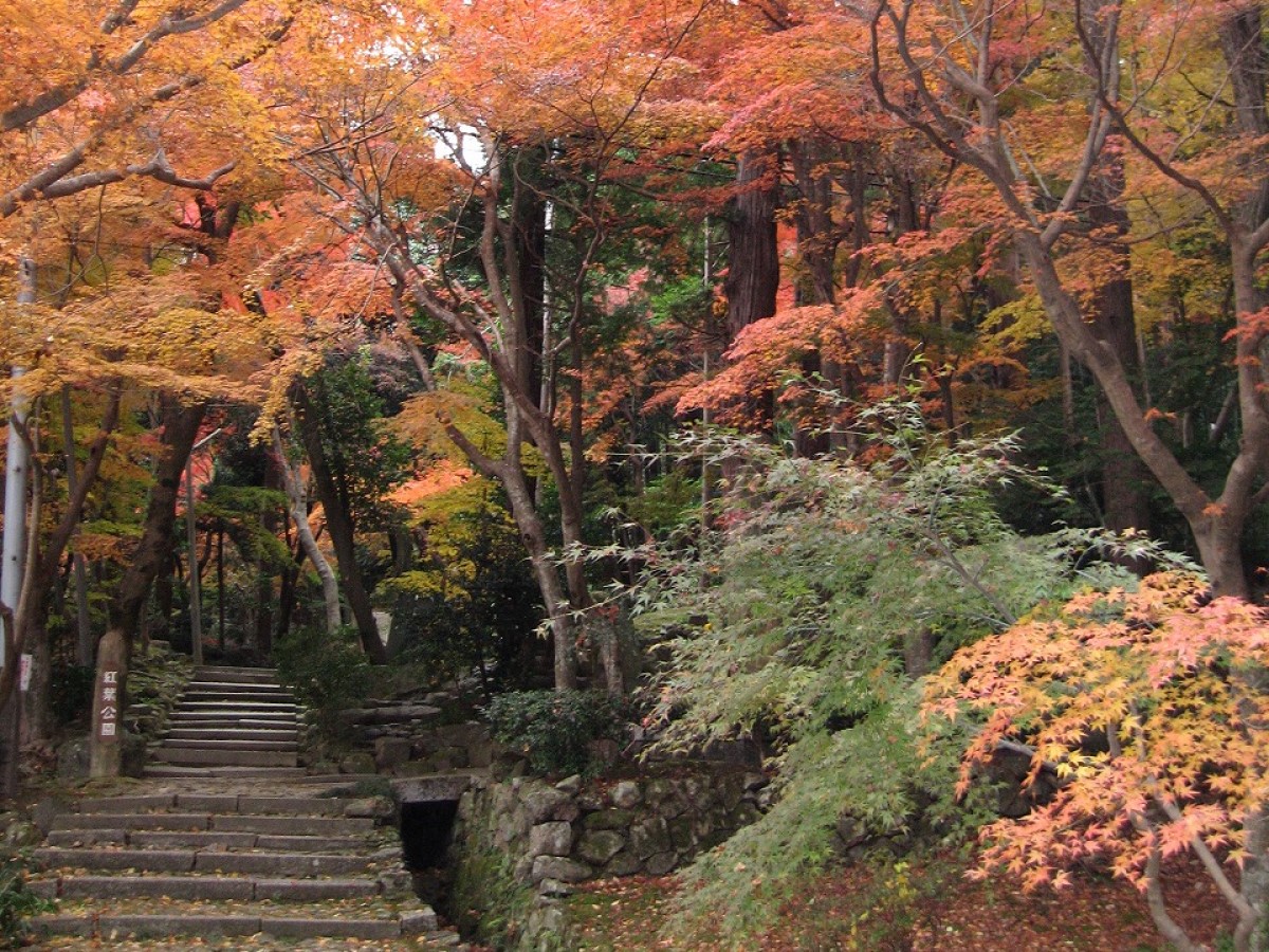 紅葉公園