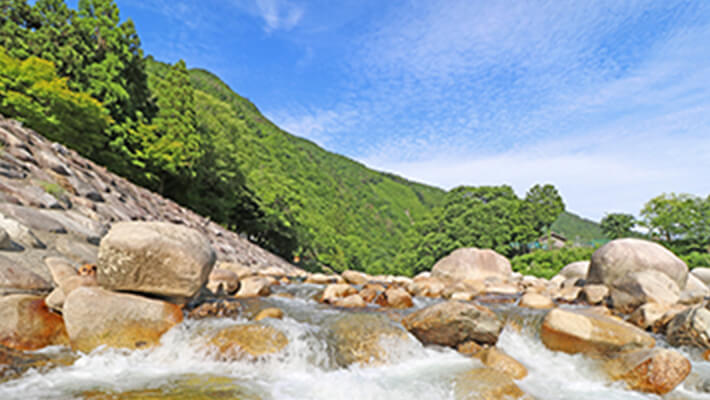 川の風景