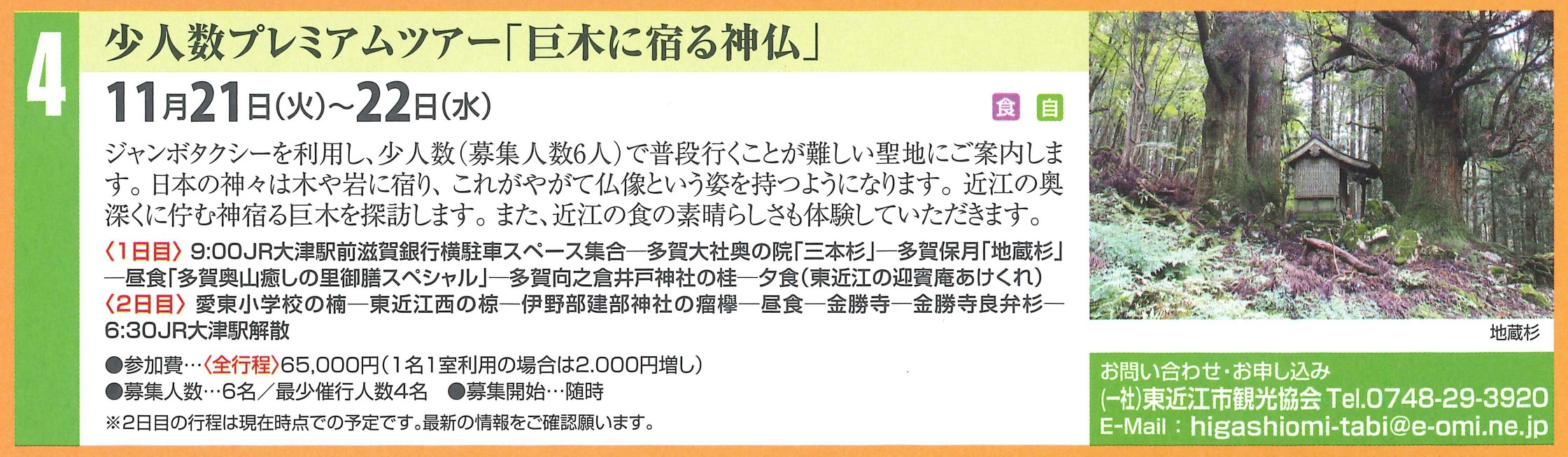 【ツアー参加者募集】11/21㊋-20㊌ 少人数プレミアムツアー「巨木に宿る神仏」